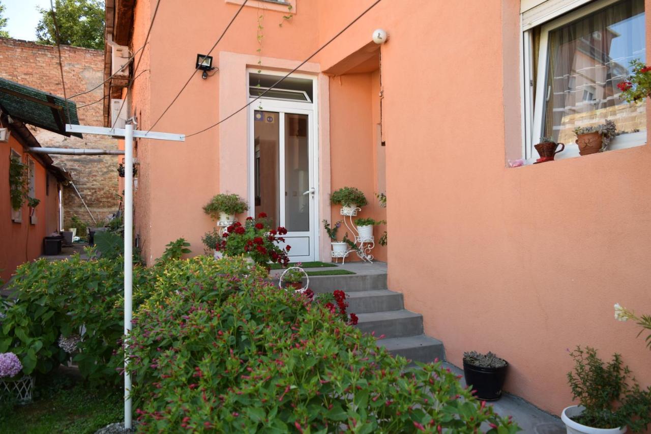 Apartment Sleep'N Drive Belgrad Exterior foto
